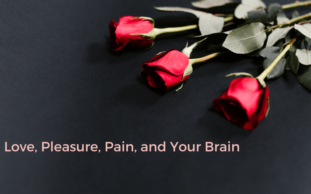 Love, Pleasure, Pain, and Your Brain
